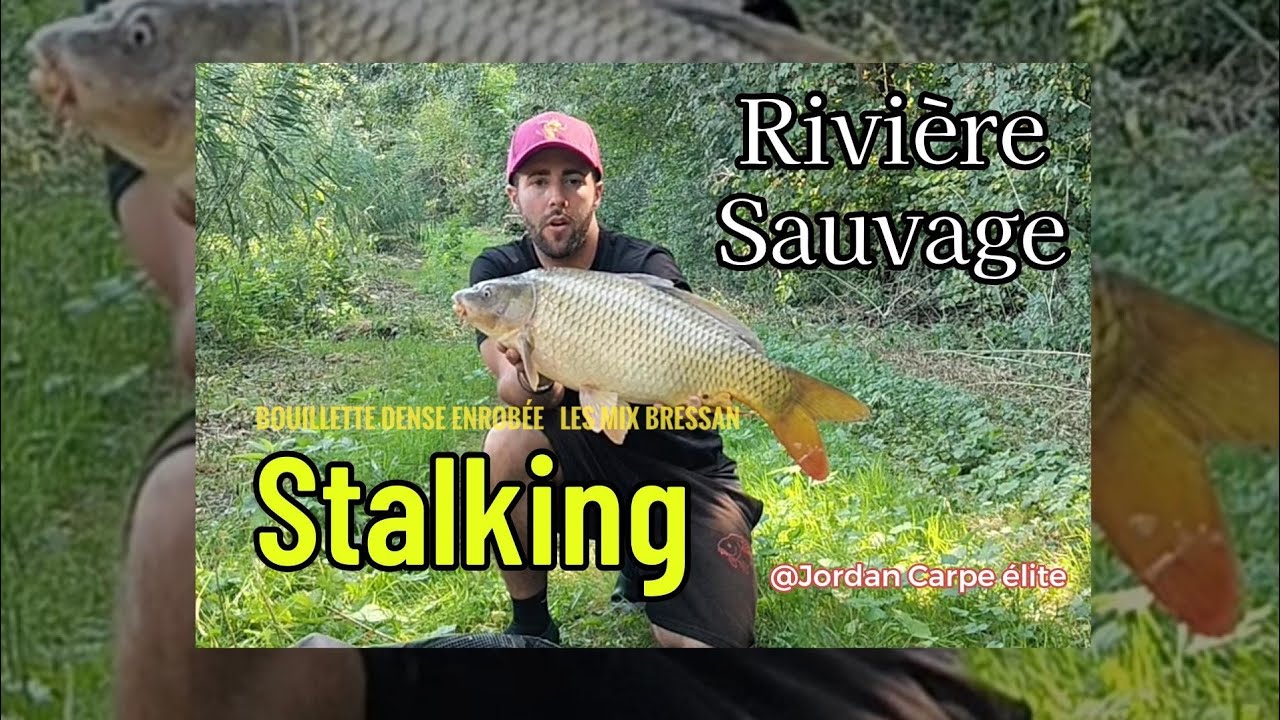 Teste des appâts @Lesmixbressan01 (( Bouillette dense Enrobée seed fish ))
