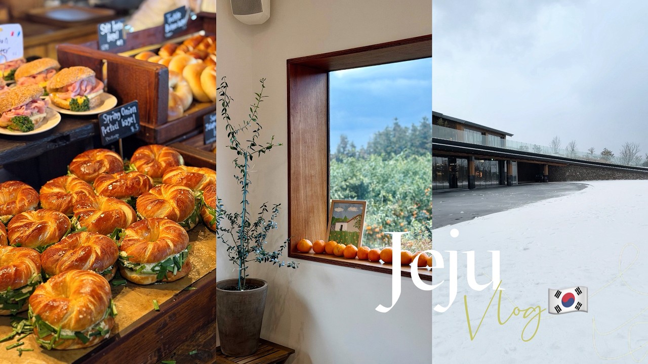 濟州島3天2夜vlog │下大雪啦❄️又浪漫又冷！到處都是橘子🍊好吃鮑魚鍋.黑豬肉.貝果.漂亮咖啡廳 │2026 Jeju