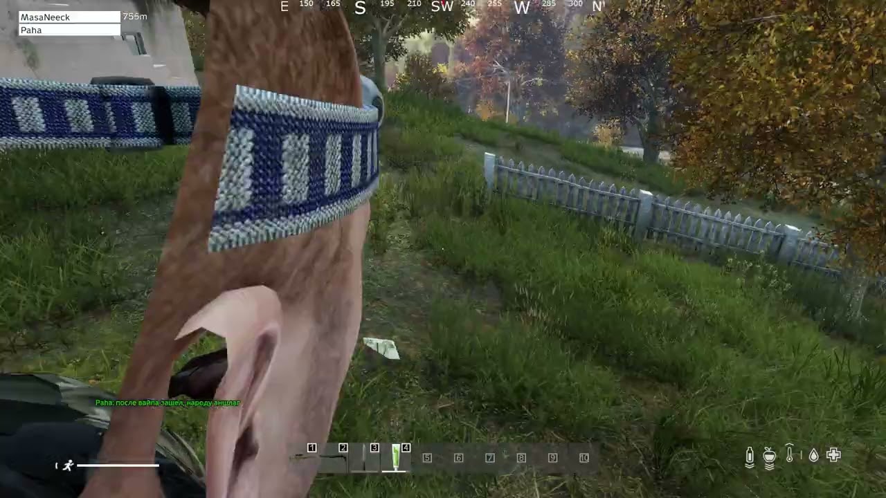 DAYZ  день 2