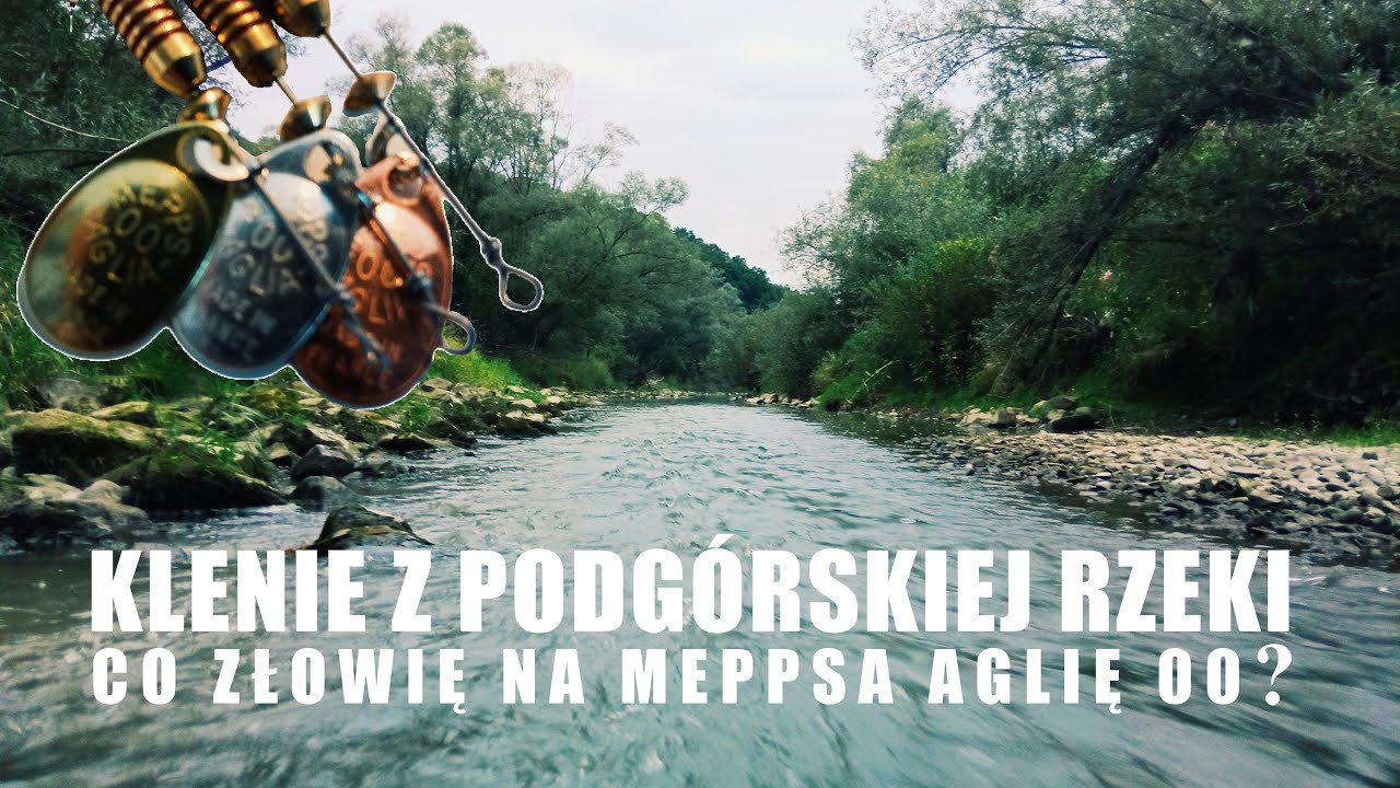 Klenie z podg&oacute;rskiej rzeki | co złowię na Meppsa Aglię 00?