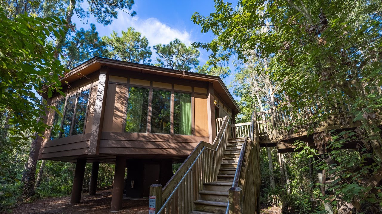 Disney's Treehouse Villas Room Tour - Disney's Saratoga Springs Resort - In 4K