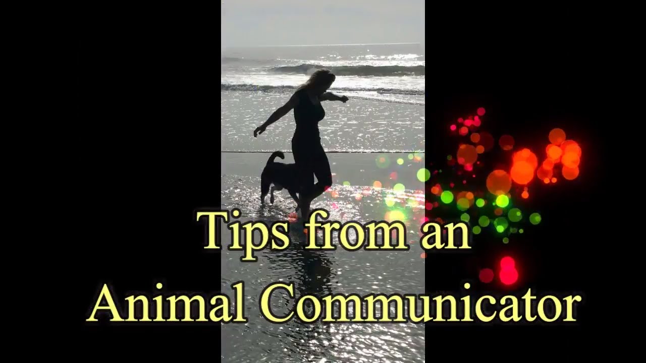 Telepathic Communication with your Animals