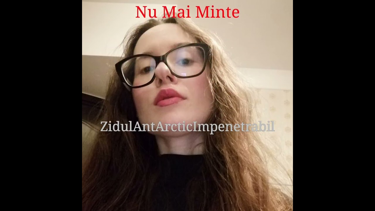 ZidulAntArcticImpenetrabil 2  / 26