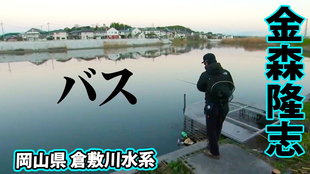 初冬の倉敷川水系でフィーディングスポットの法則を解き明かす 『Make？！11』【釣りビジョン】