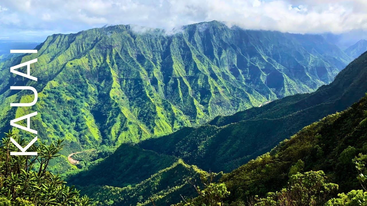 Epic Views on Kauai Hike | Pihea & Alakai Swamp Trail