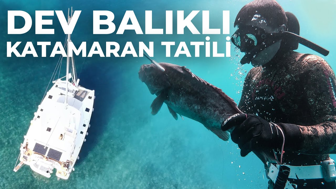 KATAMARANDA 3 GÜN - DEV LAHOSLARI YAKALADIK PİŞİRDİK YEDİK - Zıpkınla Balık Avı Vlog - 20