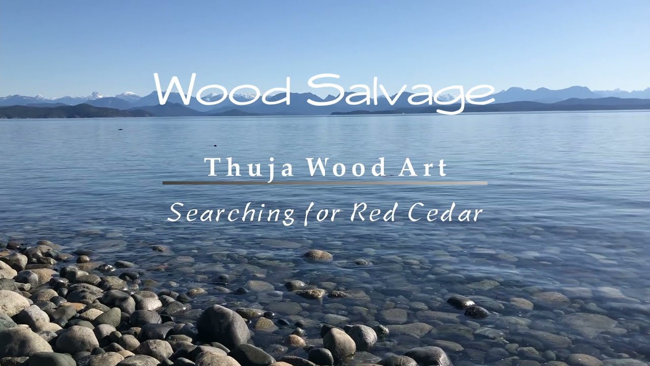 Wood Salvage with Thuja Wood Art