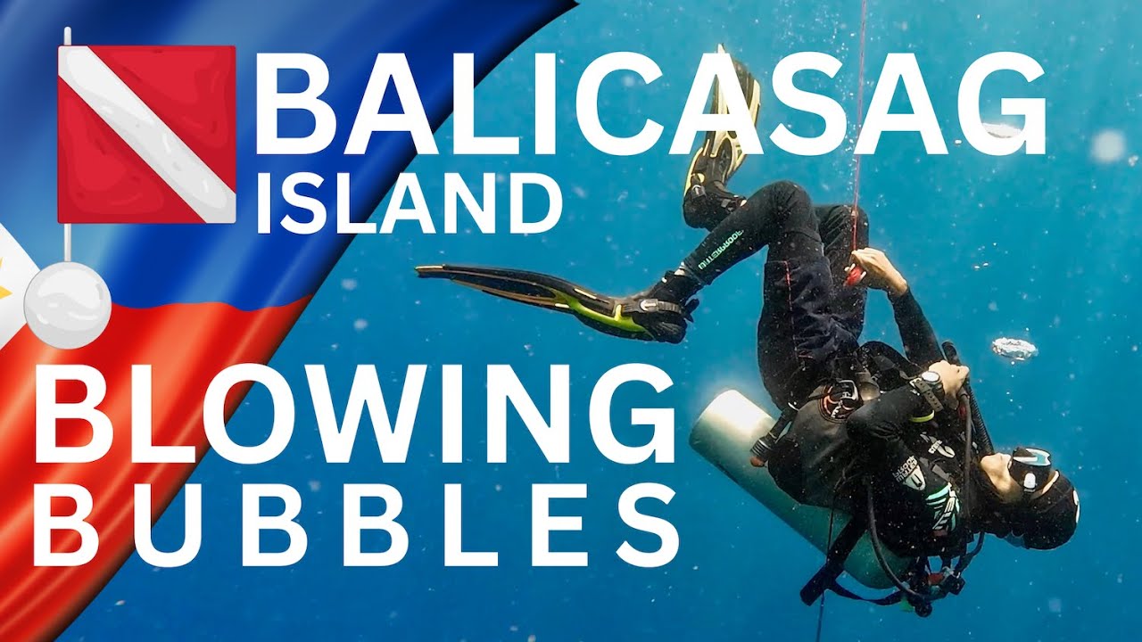 Dive Balicasag Island | Bohol Sea - Blowing Bubbles