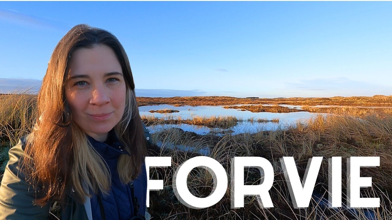 Forvie...again! One of my favourite places to walk in Aberdeenshire.