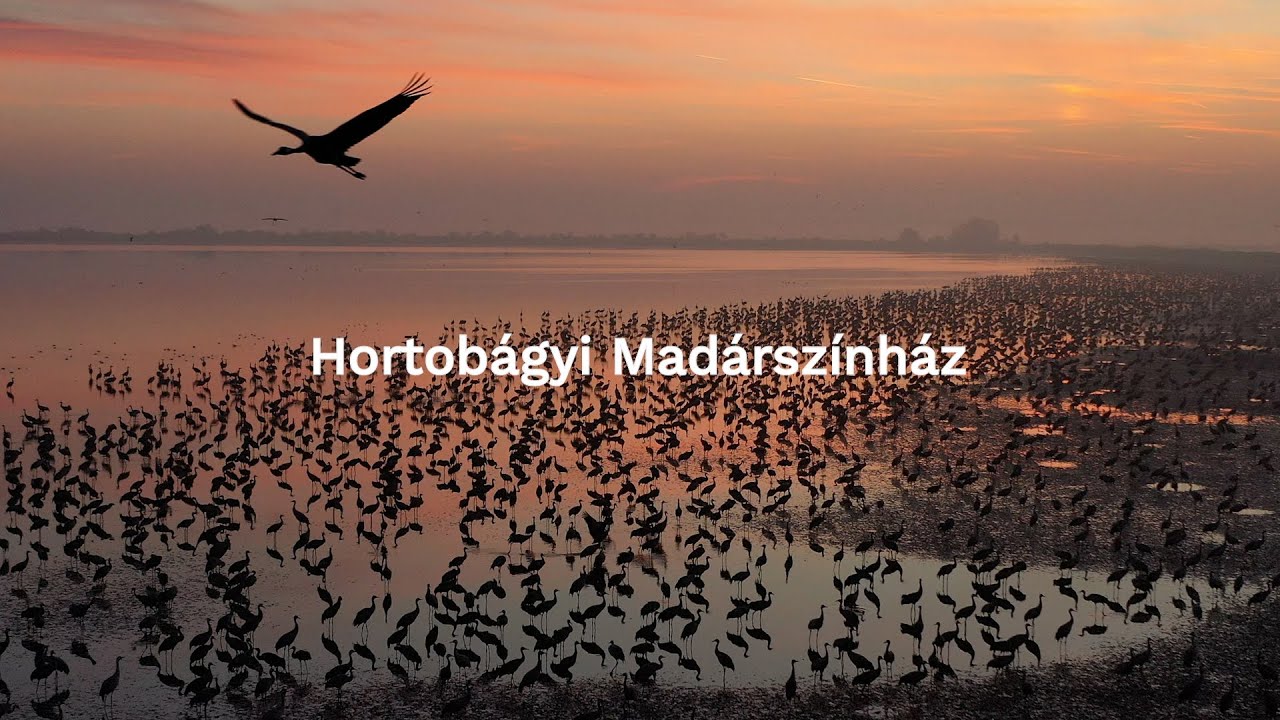 Hortobágyi Madárszinház