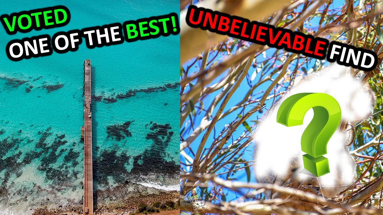 ONCE IN A LIFETIME! Kangaroo Island Part 2 Ep 105