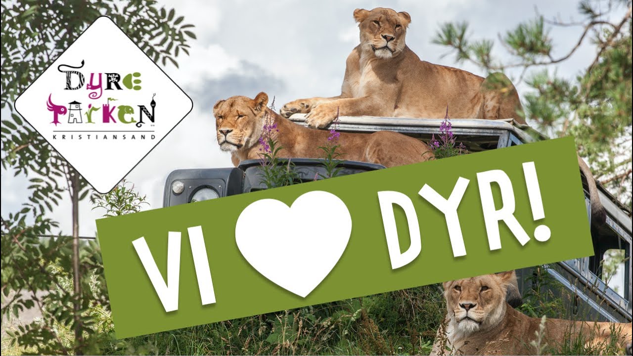Vi elsker dyr! | Dyreparken