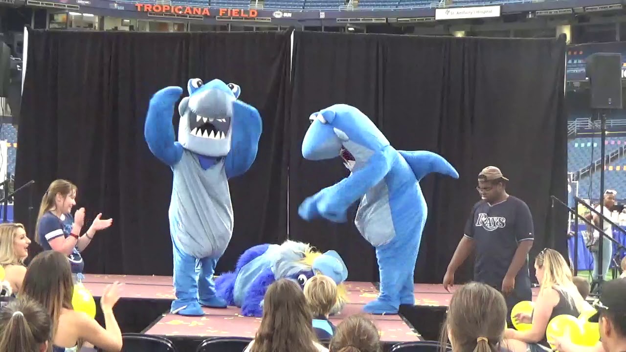 2019 Celebration Show