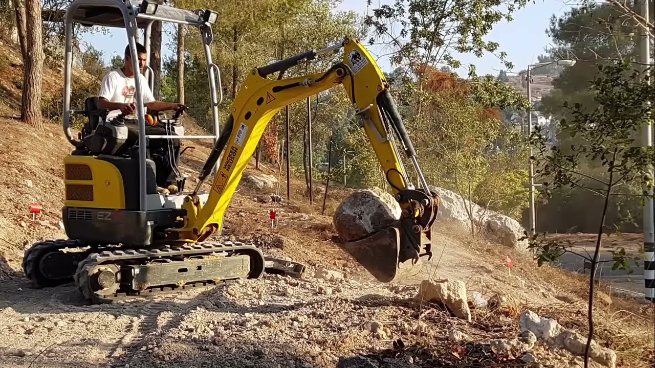 שיקום מידרון ביער