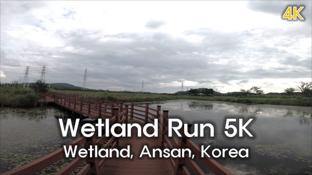 Virtual Run Korea | Running at Wetland in Landfill Area | Virtual Treadmill Runs | Nature ASMR