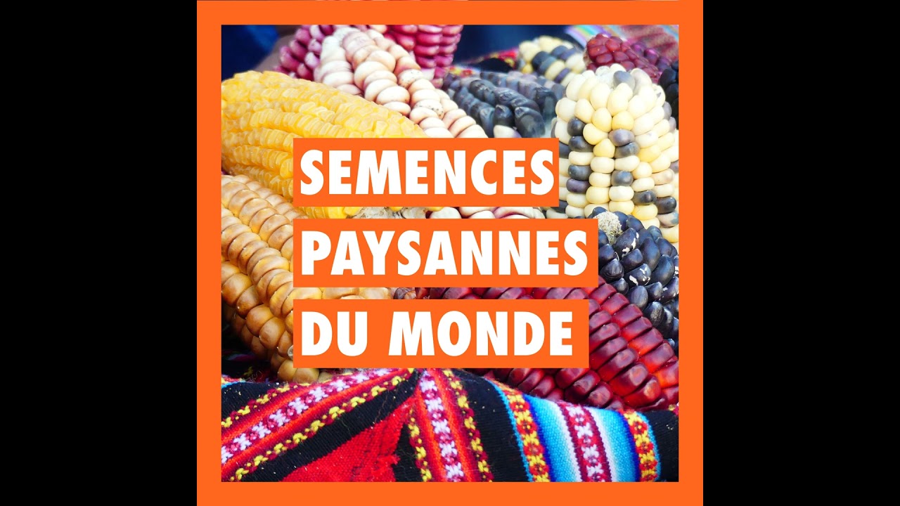 [SERIE] Semences paysannes du monde - EP5 Côte d'Ivoire COPAGEN
