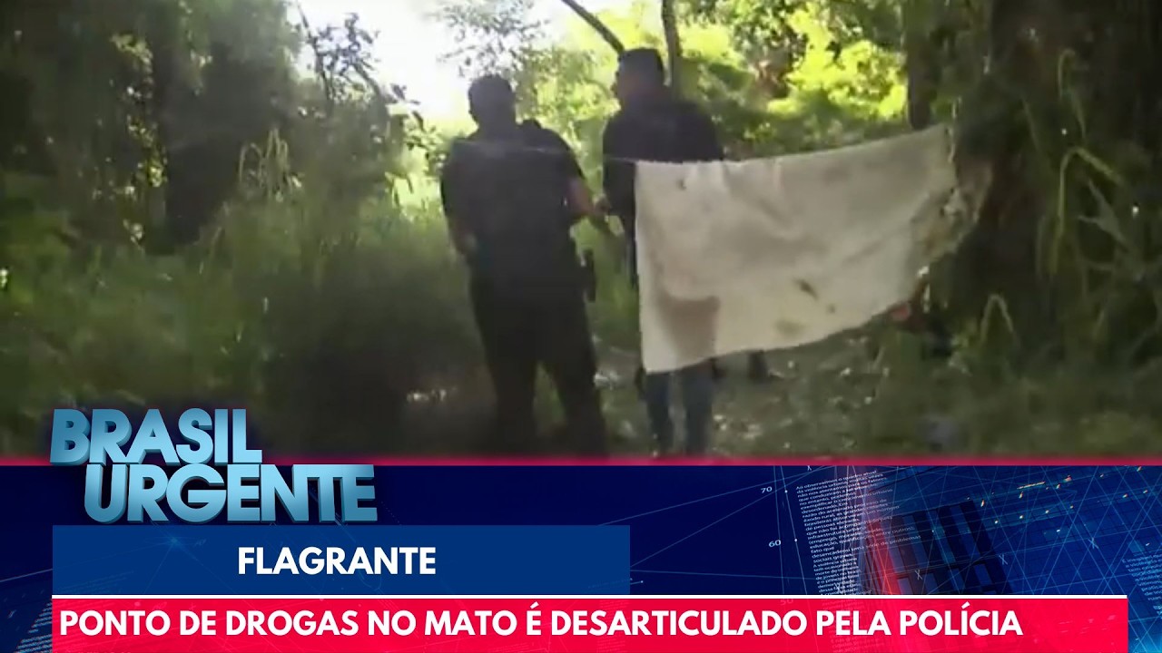 Polícia encontra esconderijo de drogas dentro de mata | Brasil Urgente