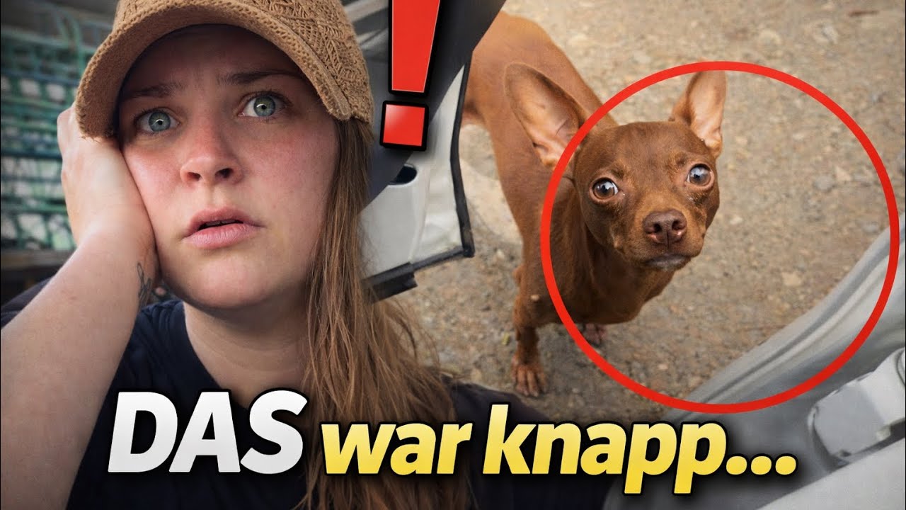 Das ist uns auf dem Weg zu Hotel passiert… 😳