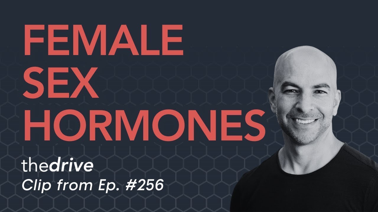 Female sex hormone system: PMS, menopause, hormone replacement therapy, and more | Peter Attia
