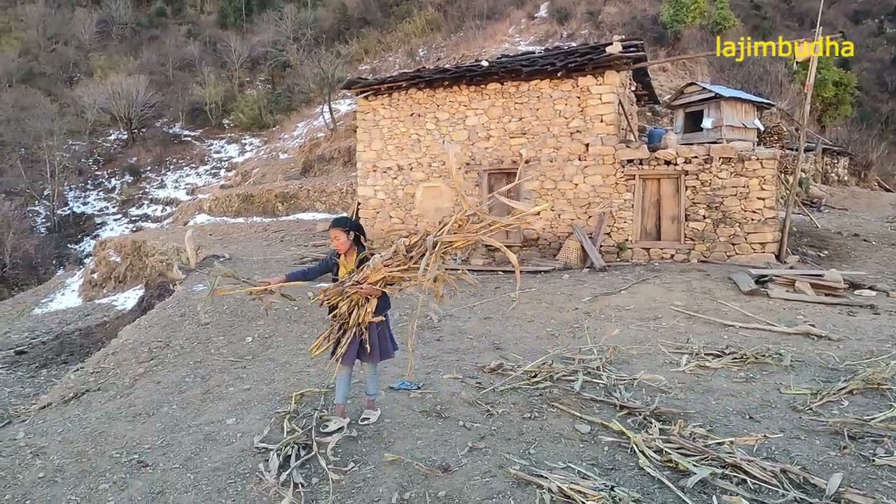 the faith of himalayan children || lajimbudha ||