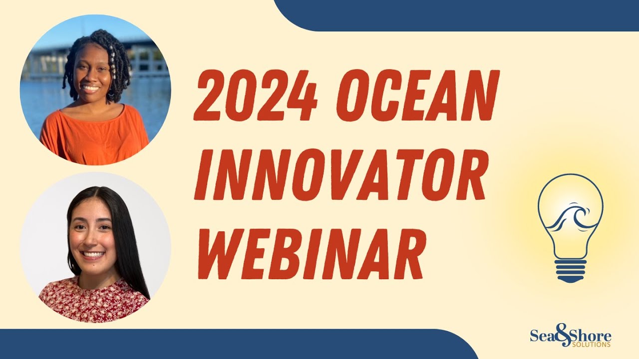 2024 Ocean Innovator Webinar: Sea Turtle Conservation and Whale-Ship Strike Risk Assessment