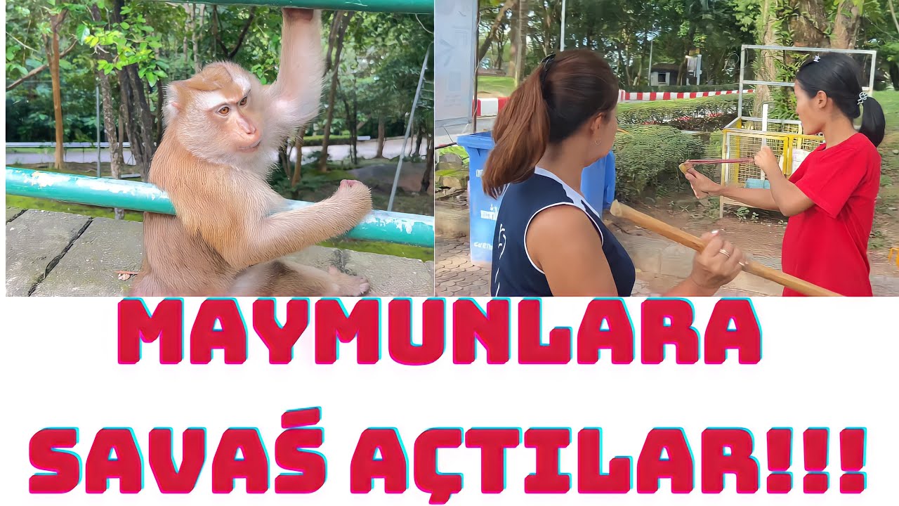 TAYLAND’DA ARABA KİRALAMA!!! #tayland #phuket #rentcar