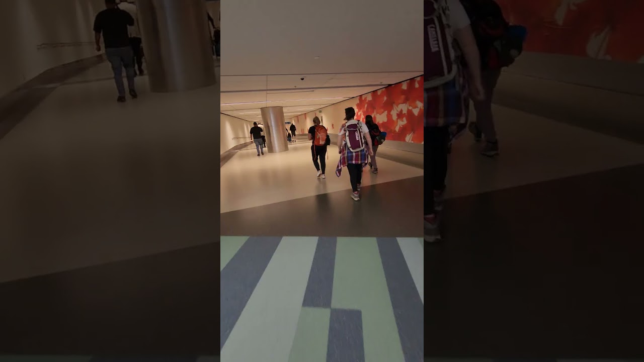 Ottawa Airport (Arriving)