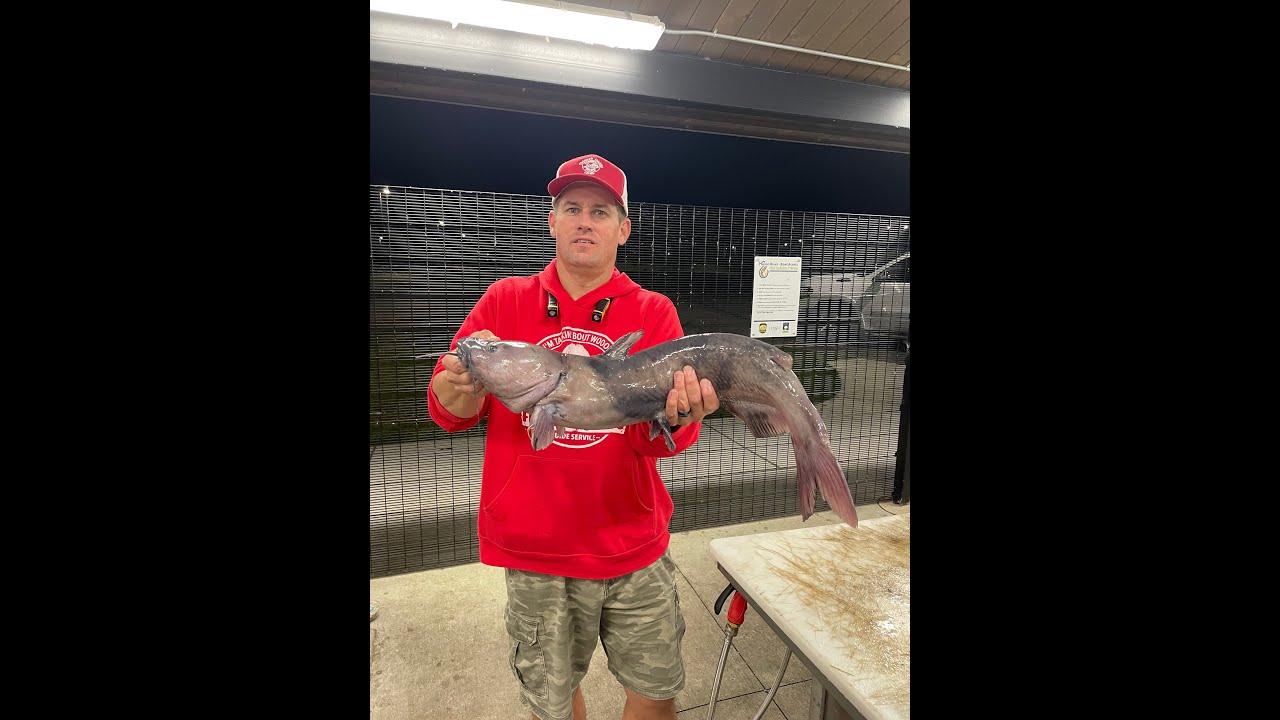 Sandusky Bay-Battery Park Catfishing--Father's Day 2024