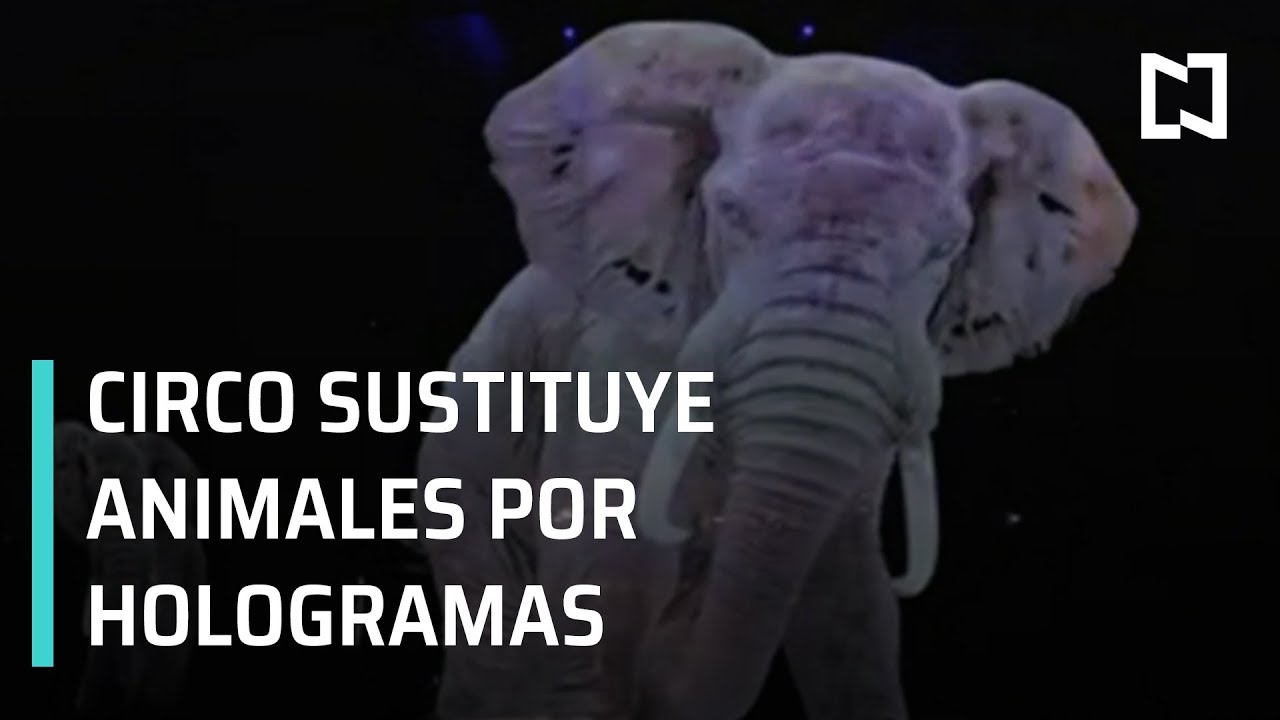 Circo de Alemania sustituye animales con hologramas - Las Noticias