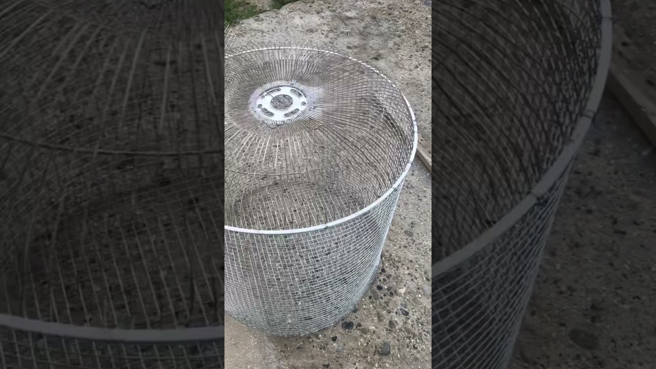 La nueva jaula para las cr&iacute;as de Periquitos Australianos