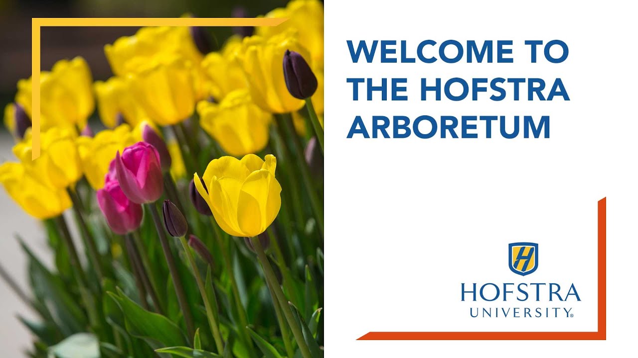 Welcome to the Hofstra Arboretum