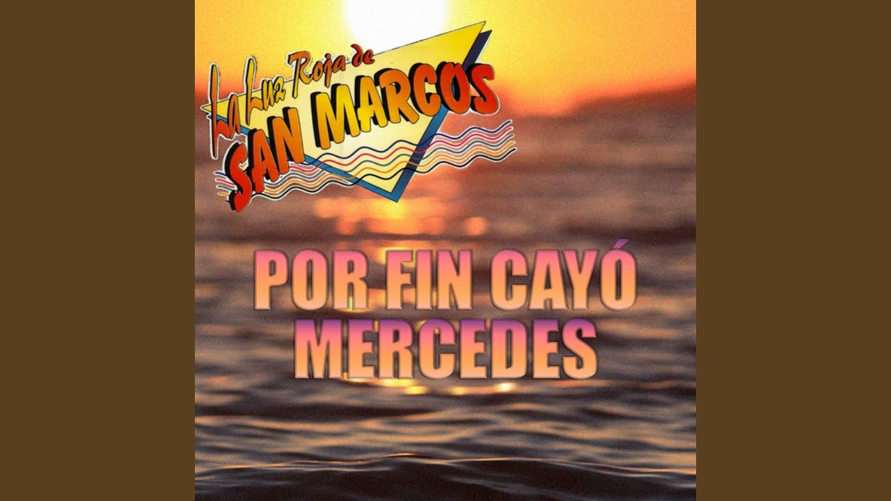 Altibajos Del Amor