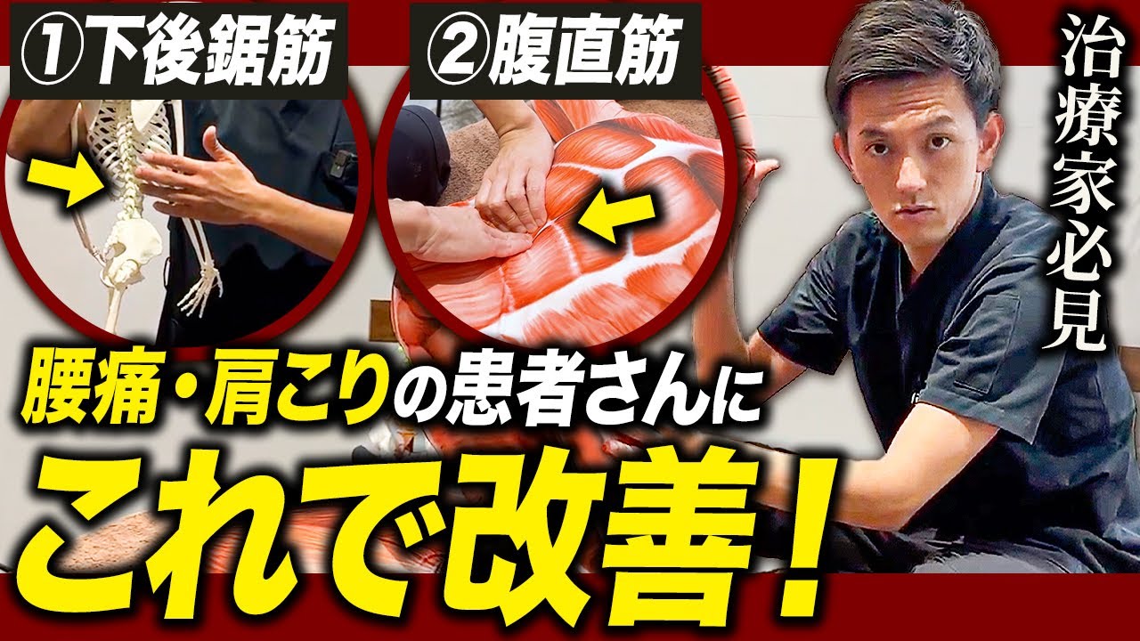 【治療家は絶対見て】腰痛・狭窄症にも！なぜ臨床で下後鋸筋が重要なのかを徹底解説します！！