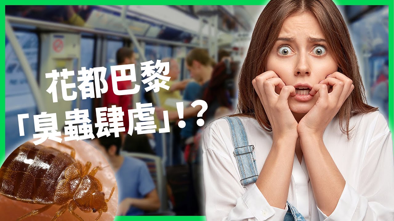 搭地鐵絕不坐椅子、社群蟲蟲影片暴增！奧運前夕花都巴黎臭蟲肆虐，情況多嚴重？臭蟲恐慌也呈現了法國人的集體焦慮？【TODAY 看世界】