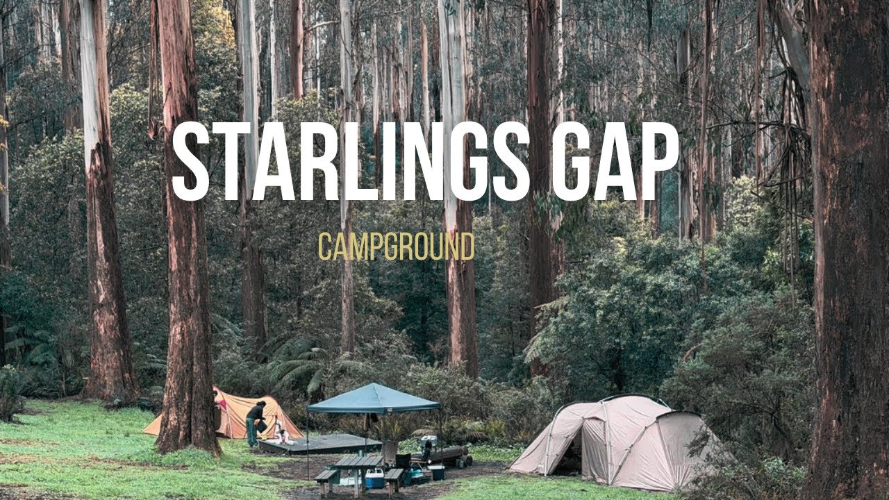Rainy Camping near Melbourne: We Escaped to the Ada Tree!