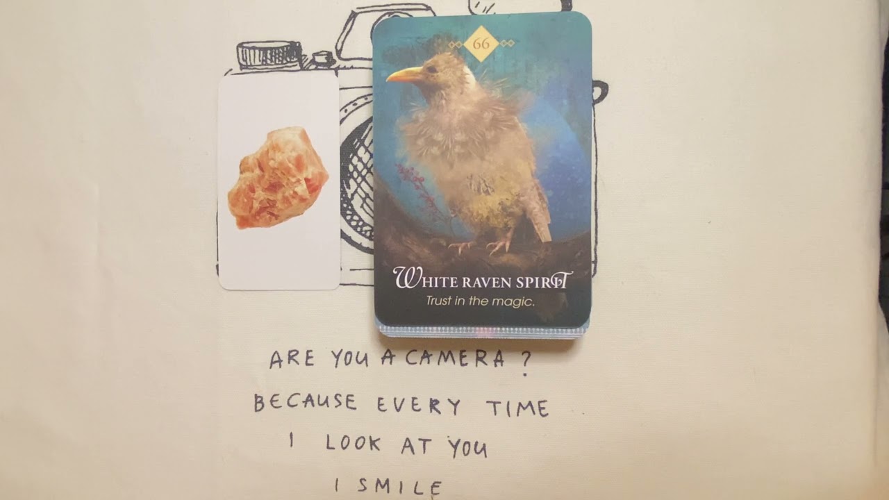 Daily Animal Spirit Oracle 🪶 | Messages From the Wild for Your Soul