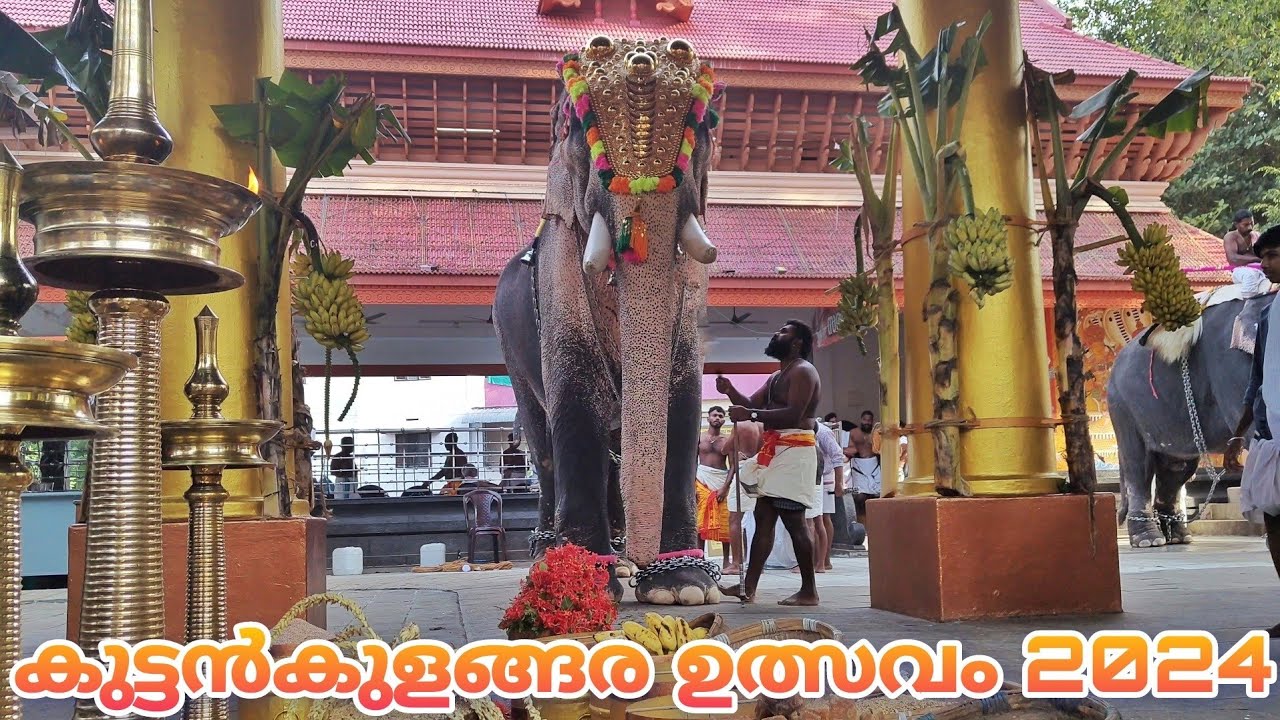 റേഞ്ച് നിലവിൽ അർജുനൻ 🔥🔥 | കുട്ടൻകുളങ്ങര ഉത്സവം 2024 | Kuttankulangara Ulsavam 2024