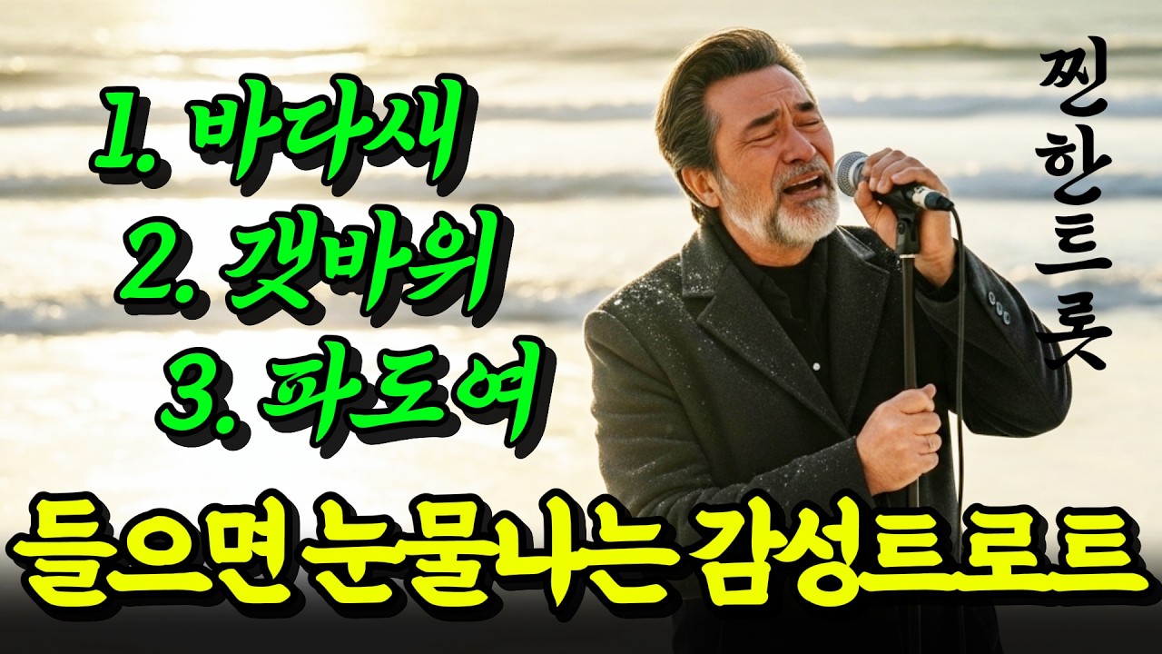 들으면 눈물나는 중년의 감성트로트 5곡 #바다새 #갯바위 #찐한트롯 #인생노래 #7080
