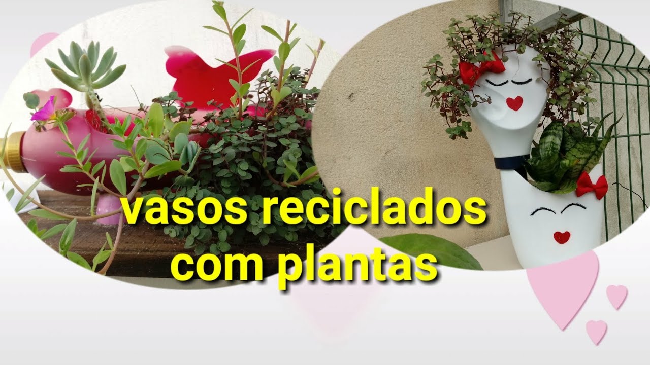 #Gastando pouco  plantando em vasos reciclados.