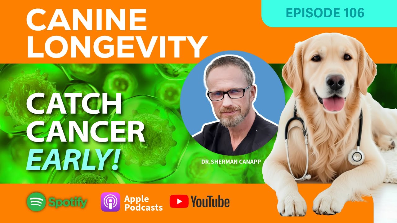Canine Longevity 106