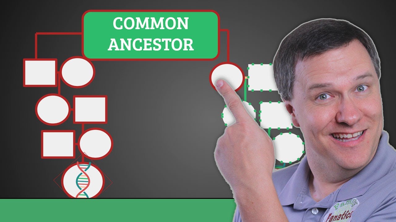 Find Your Most Recent Common Ancestor Using GEDmatch