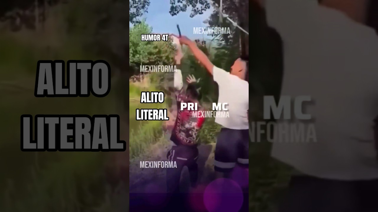 #alitomoreno obtuvo su respuesta #shorts #humormexicano