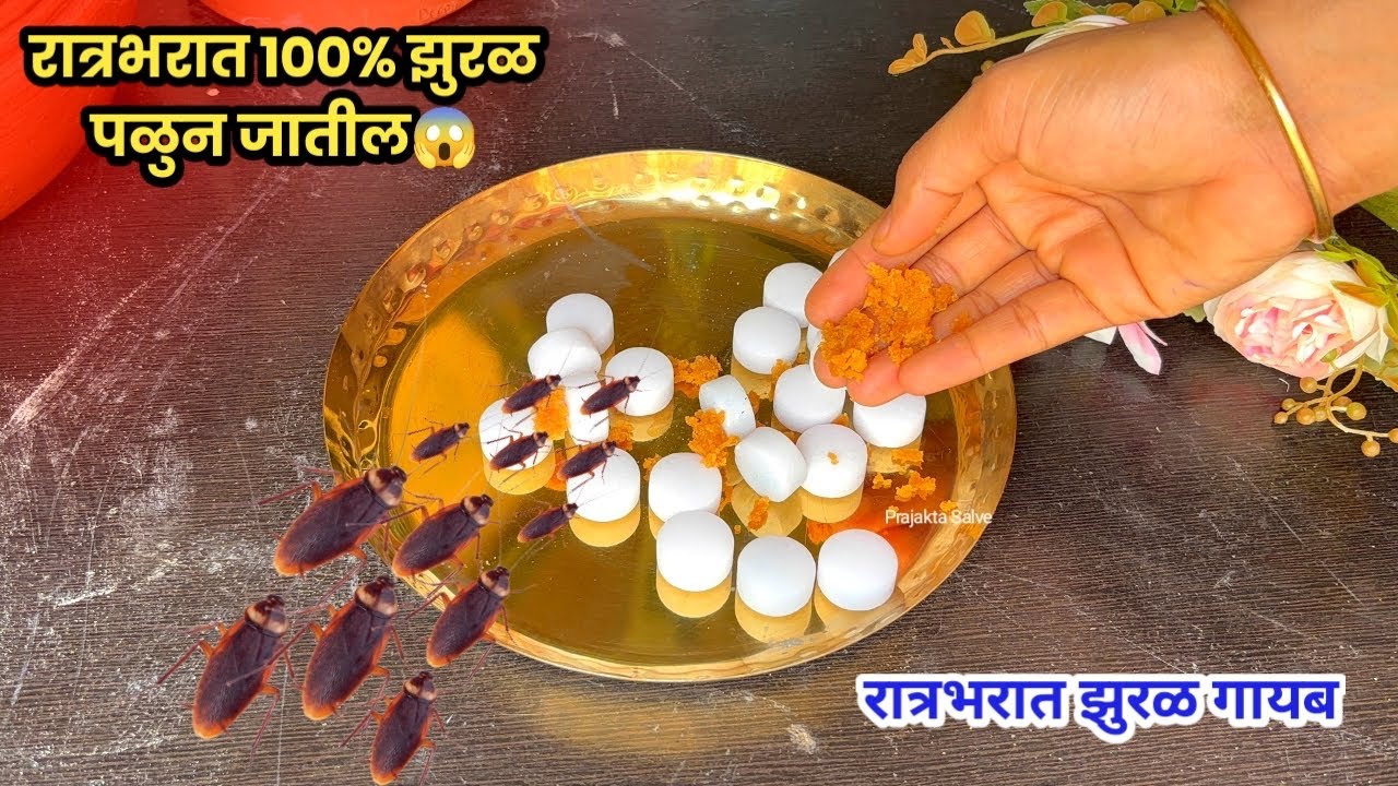 पुढचे 5 वर्ष एकही झुरळ येणार नाही😱 | Zural Ghalvnyche Upay | Cockroach Satthi Upay