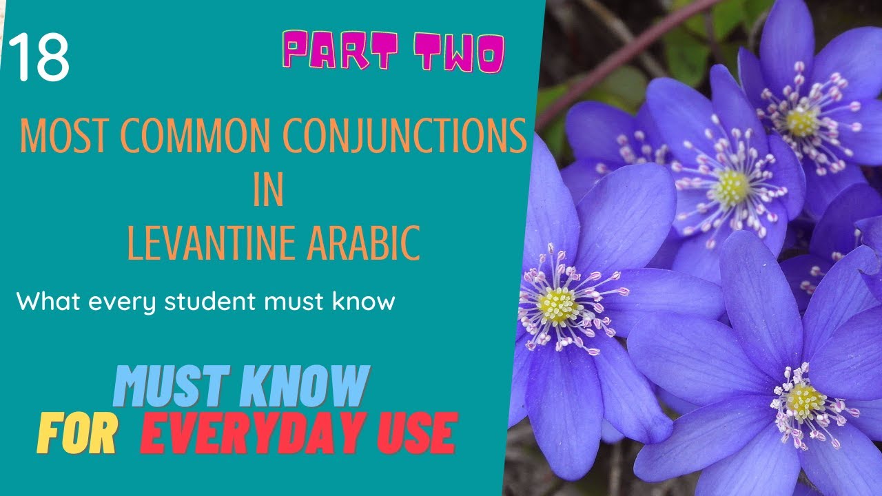 18 Most common conjunctions in Levantine Arabic| what every learner must know  - PART TWO