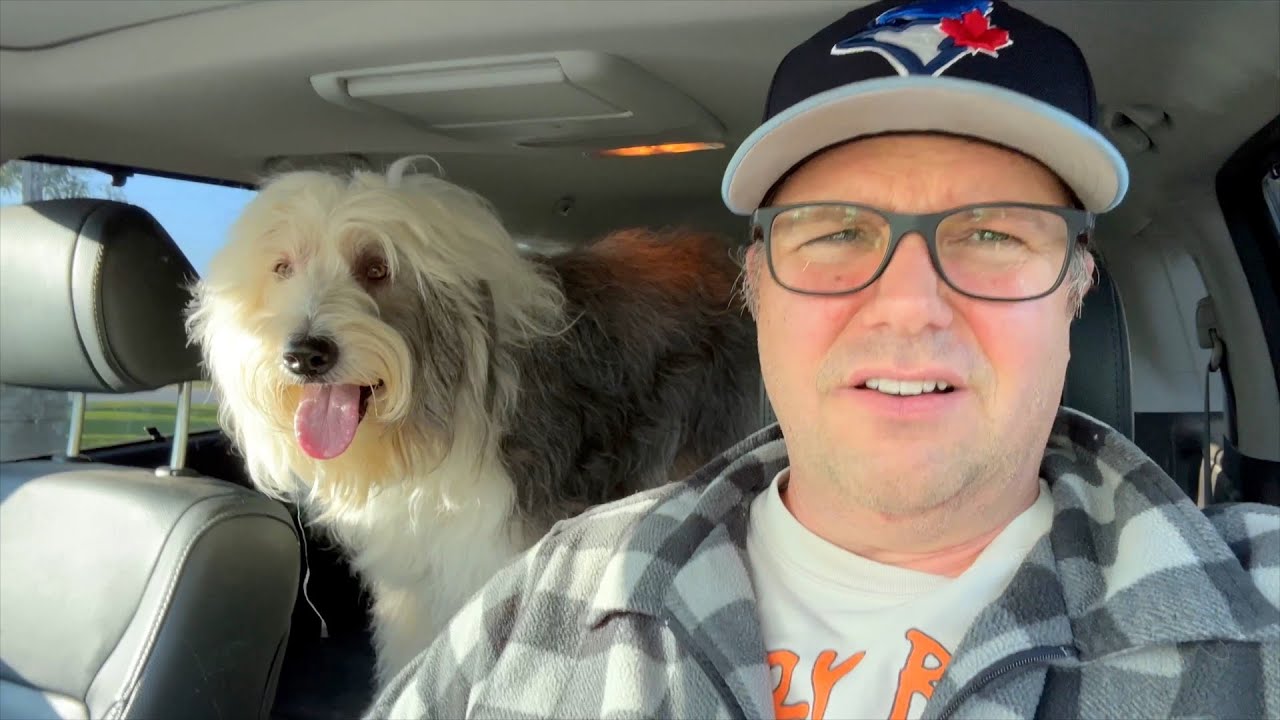 Our Old English Sheepdog is Not Doing Well - Farm Vlog