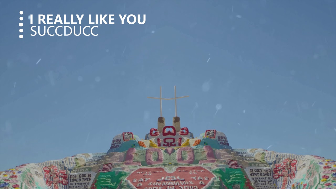 succducc - i really like you