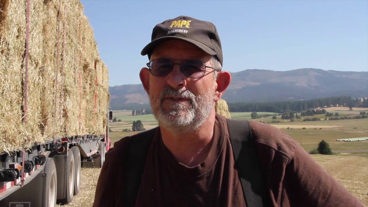 Timothy Hay