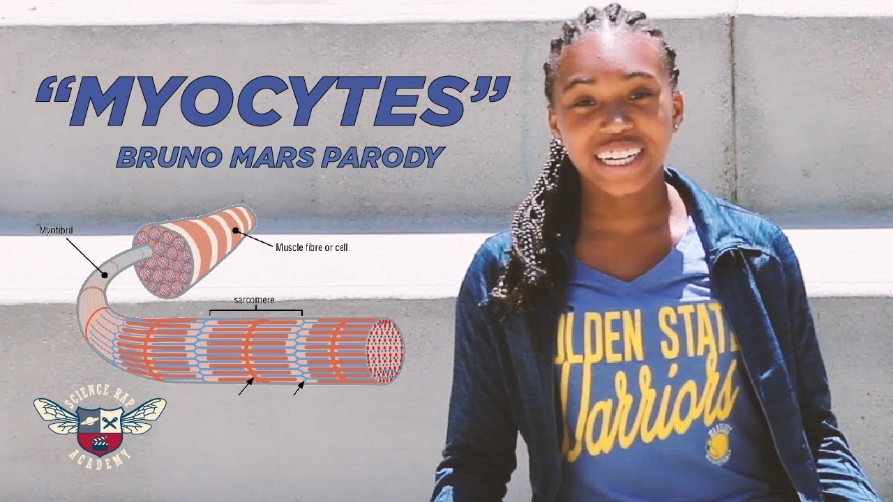 Myocytes (Bruno Mars Parody) - Science Rap Academy