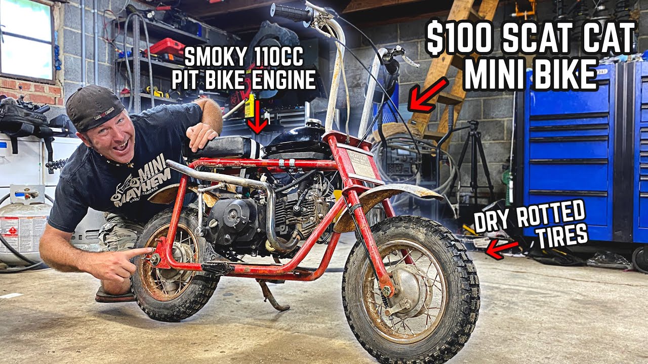 We Built a 4 Speed Shifter Mini Bike for CHEAP! (1970s Scat Cat)