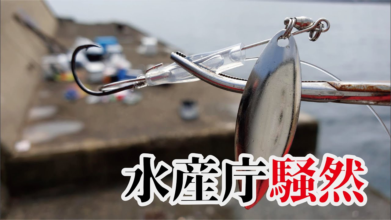 保安庁監視の堤防で工夫仕掛けを海に落とすと、けたたましく大きな魚が食ってきた